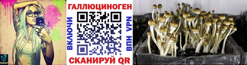 Галлюциногенные грибы Magic Shrooms  Мариинский Посад 